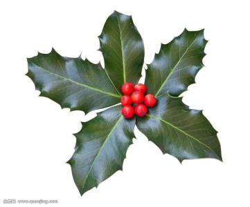 籩Ϯ ½߷ٳÿСʱ100