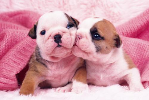 ŷ»׼202111ʱִӢŷЭ