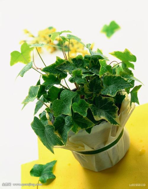 ֯ȫۼ¹ȷﲡ79673754